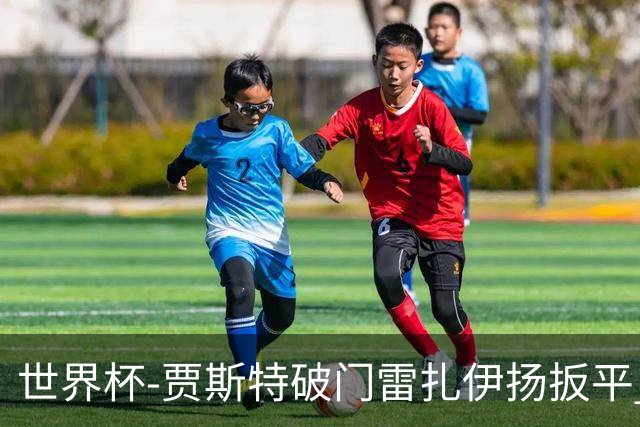 世界杯-贾斯特破门雷扎伊扬扳平 半场伊朗1-1新西兰